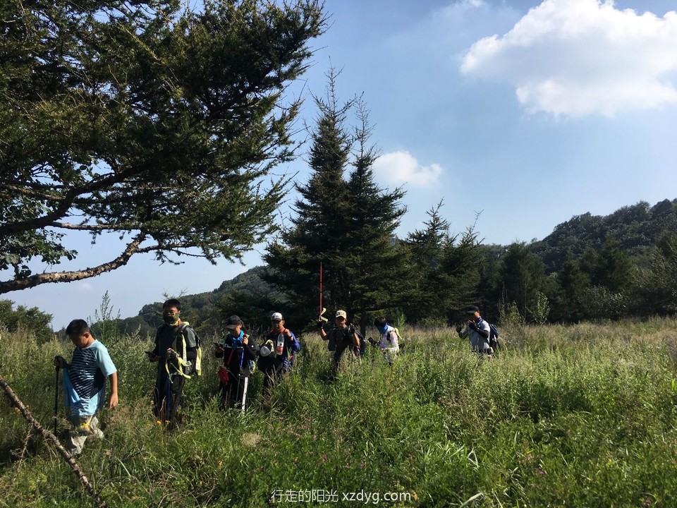 mmexport1566658099243