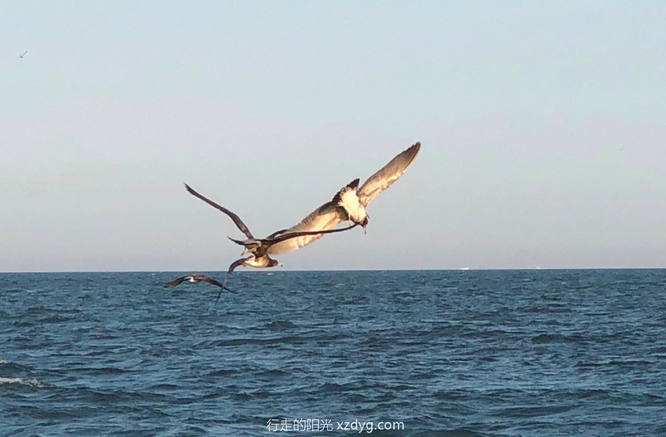 mmexport1567304843673