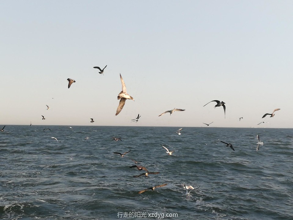 mmexport1567304051155