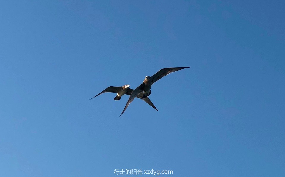 mmexport1567302554924