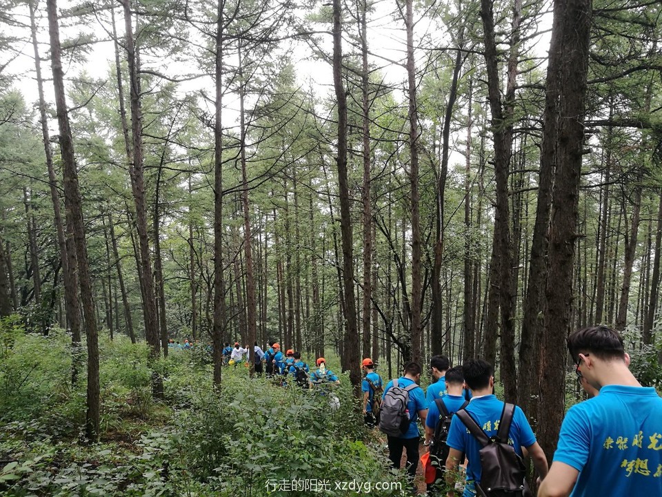 mmexport1569332486201