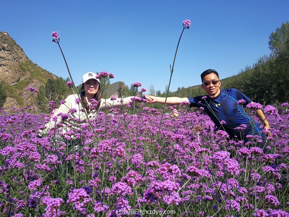 mmexport1569203755156