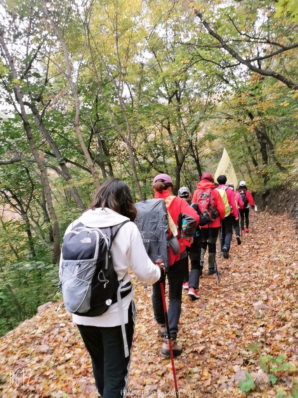 mmexport1571099334905