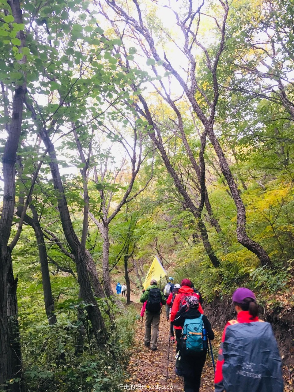 mmexport1571025592299