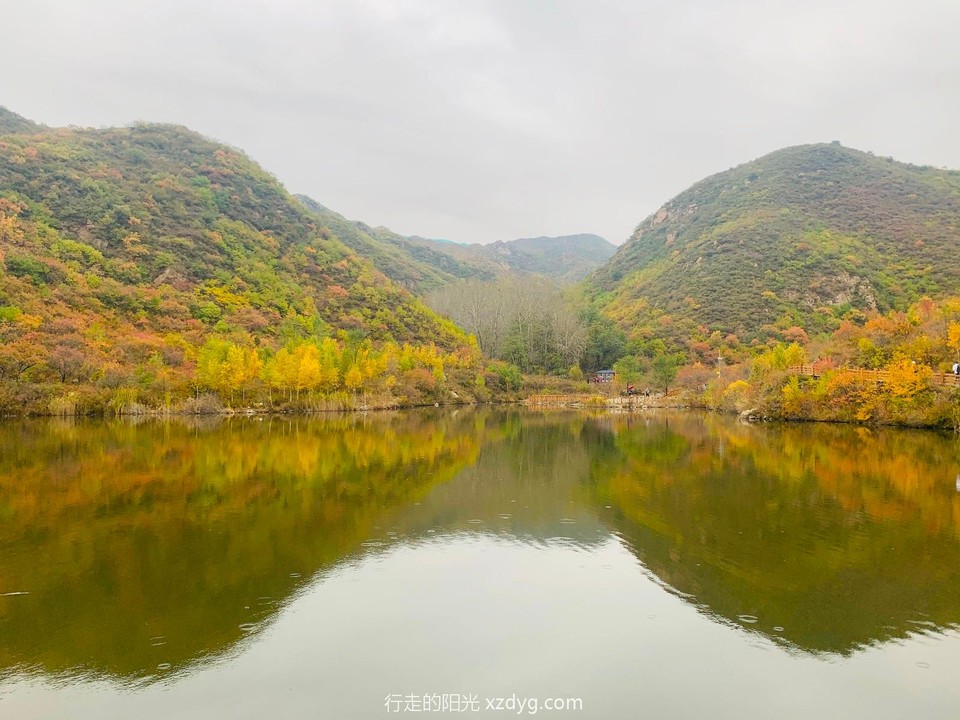 mmexport1571025544959