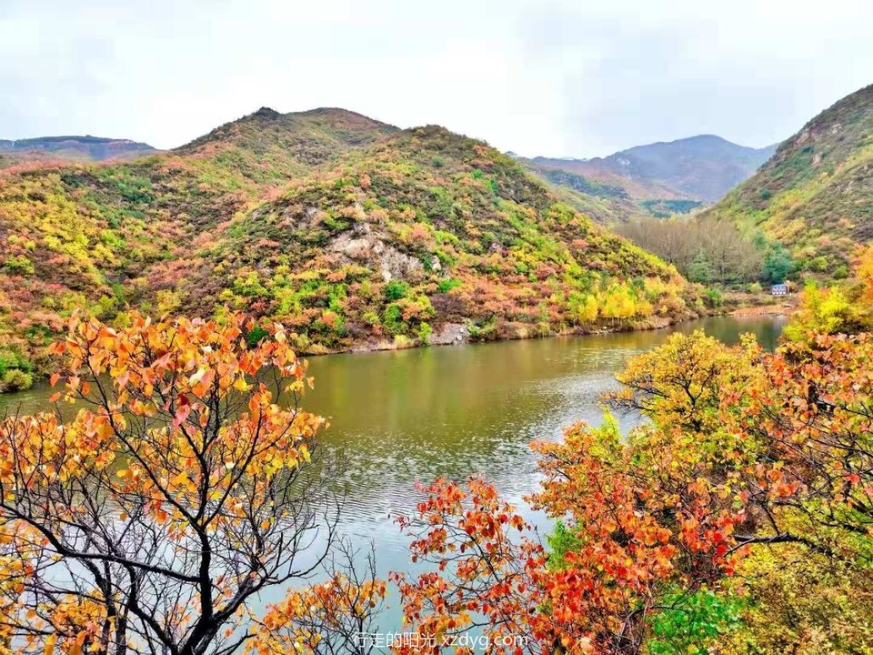 mmexport1571025505767