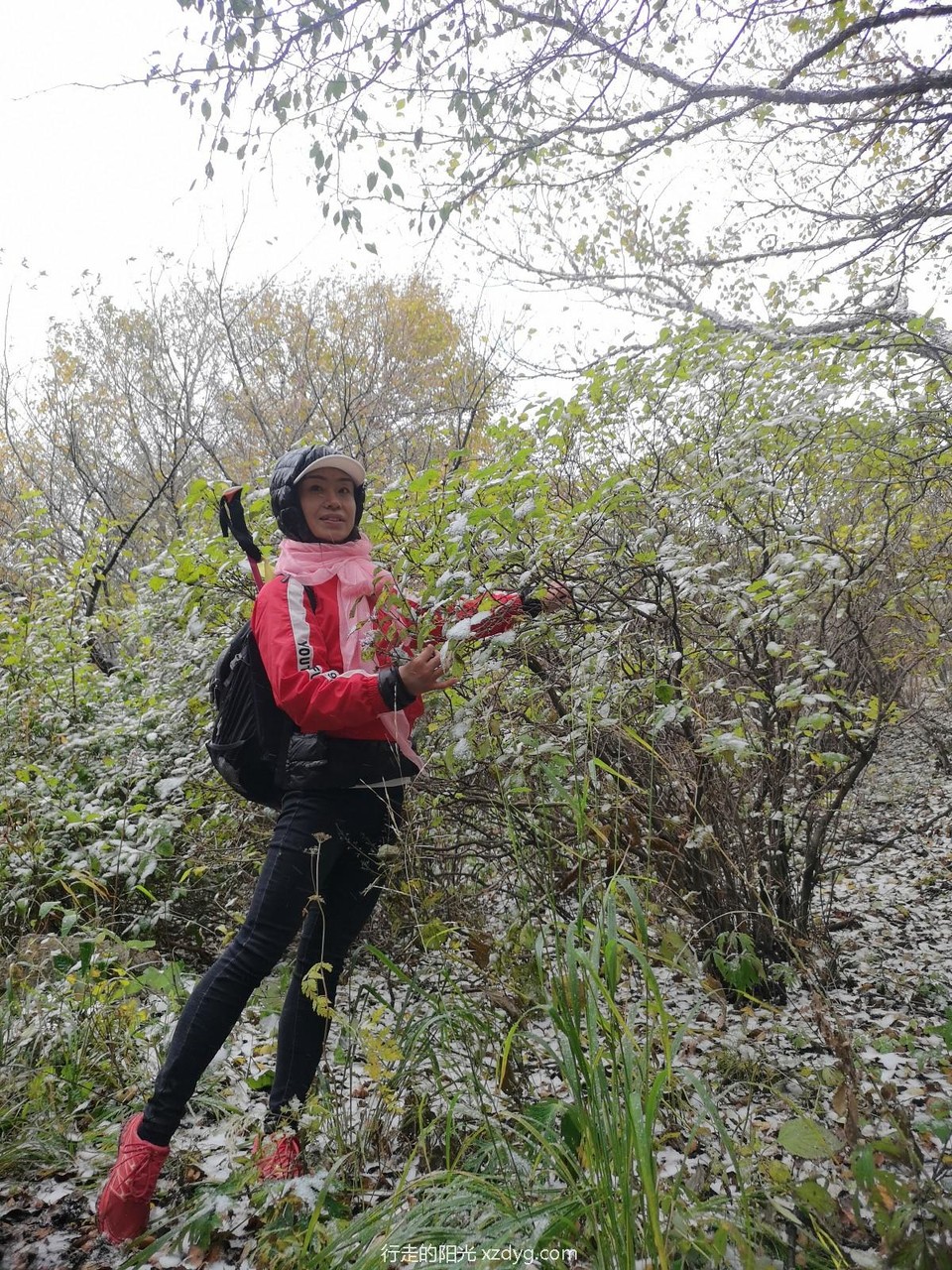 mmexport1571024444779