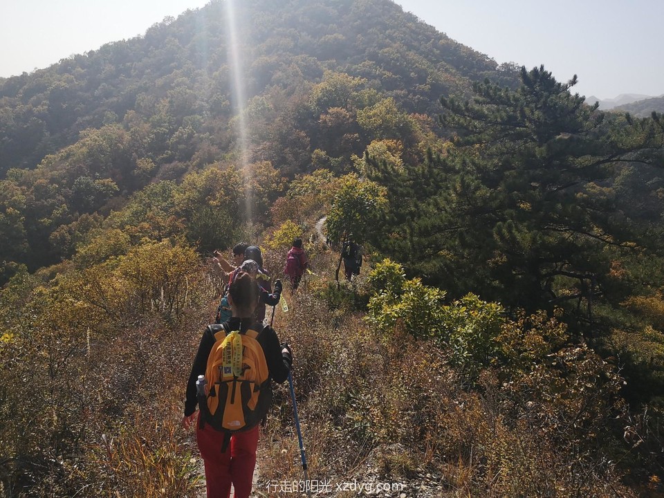 mmexport1571638492038