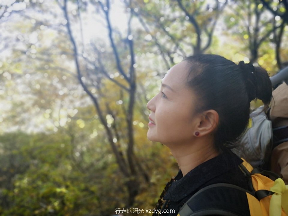 mmexport1571638463509