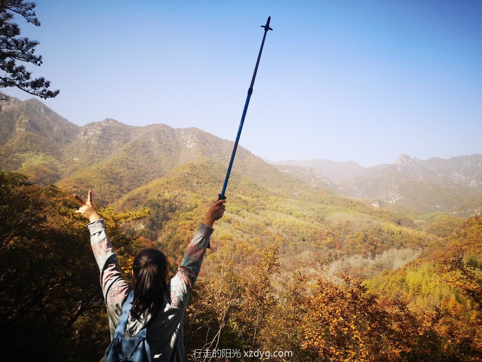 mmexport1571638439270