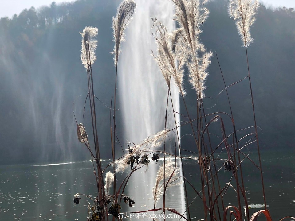 mmexport1571638245284