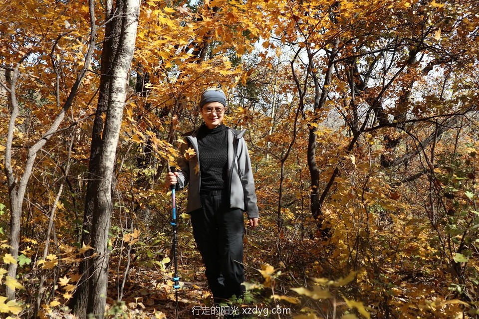 20191020122649_IMG_0660