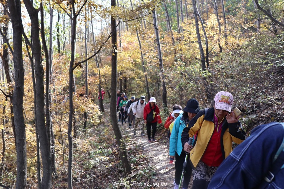 20191020123931_IMG_0679