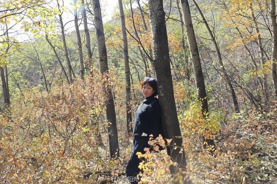 20191020125336_IMG_0686