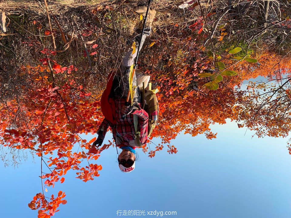 mmexport1572167812898