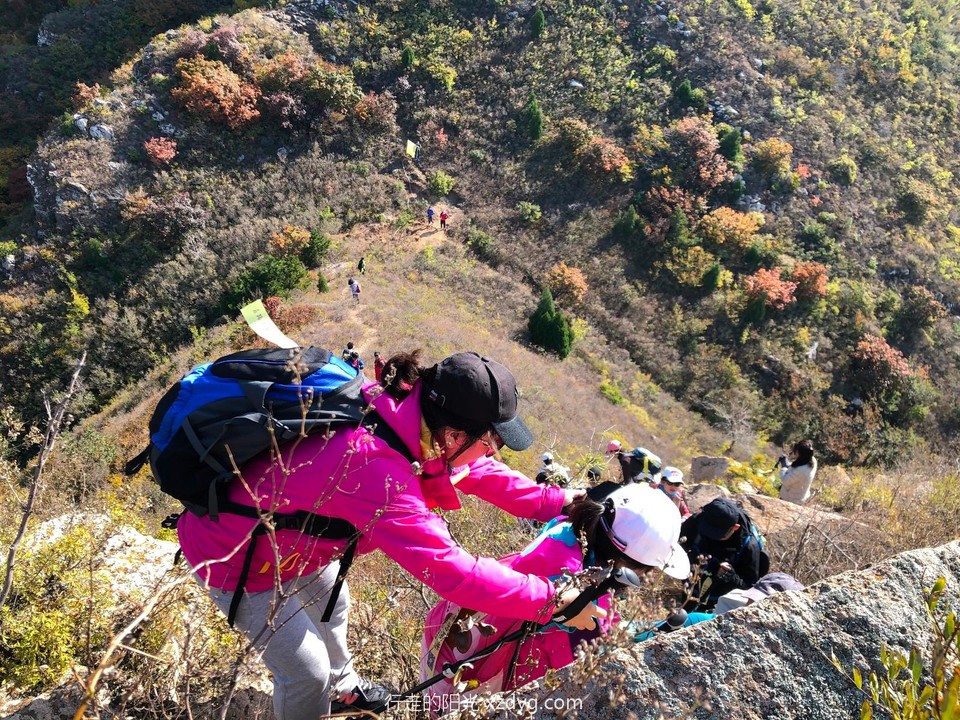 mmexport1572167169906