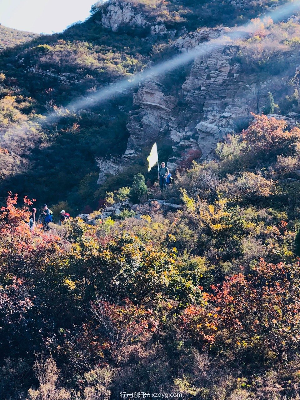 mmexport1572167114239