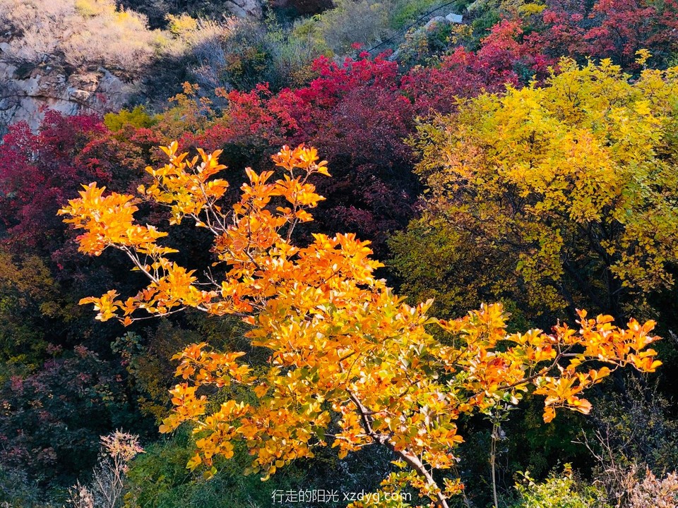 mmexport1572167100801