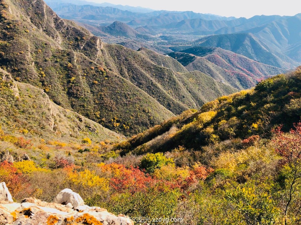 mmexport1572167059406