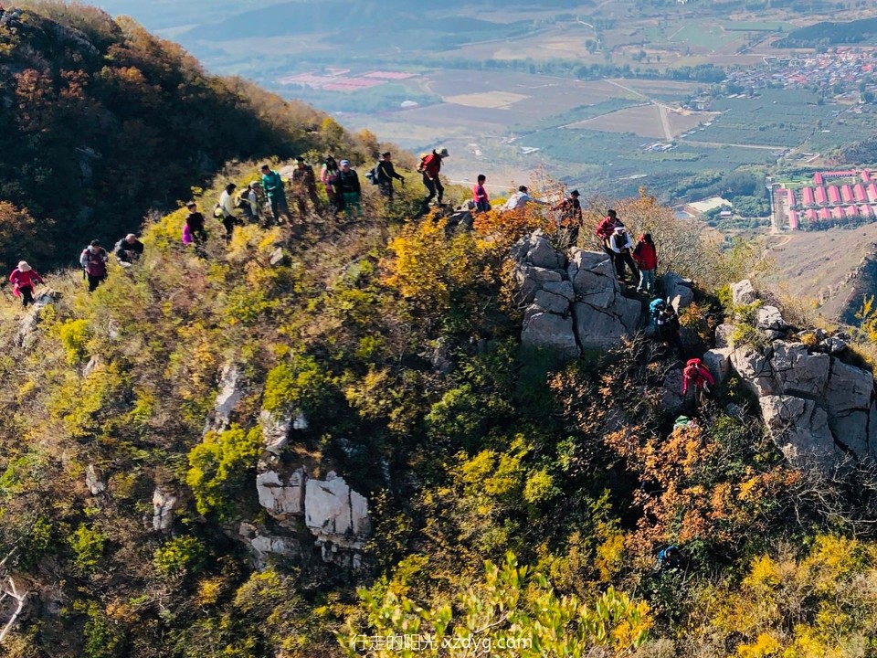 mmexport1572166990953