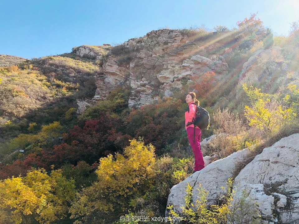 mmexport1572166959855