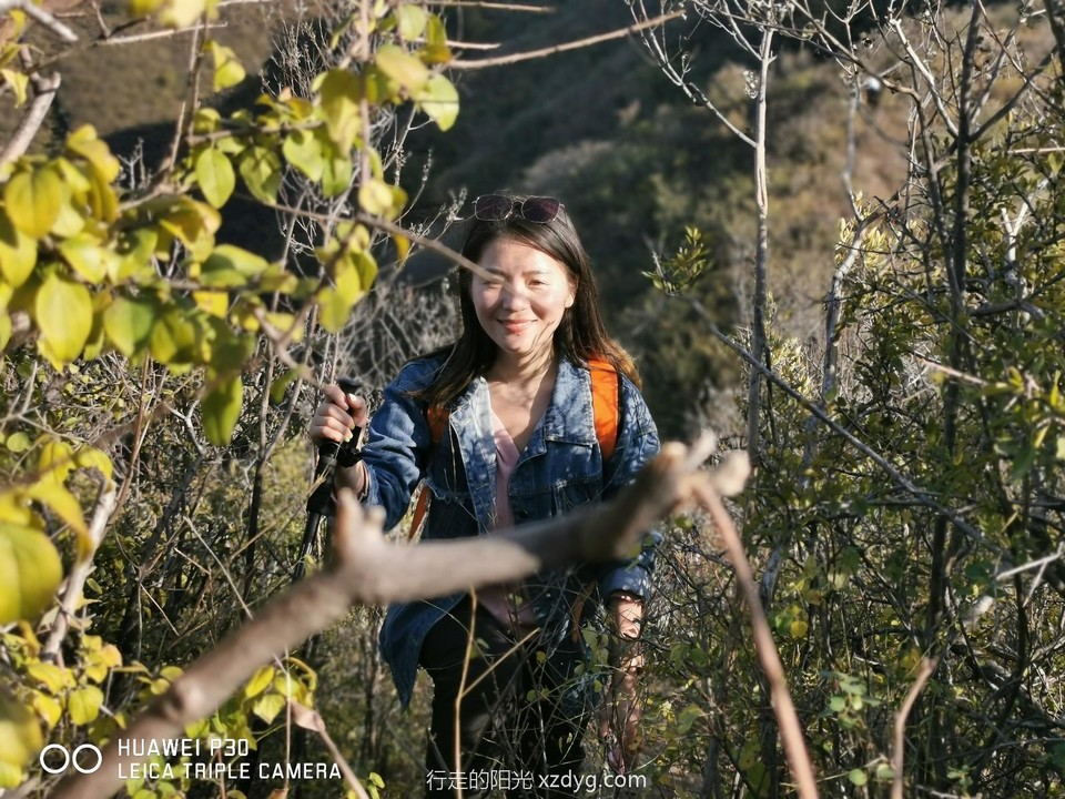 mmexport1572166654972