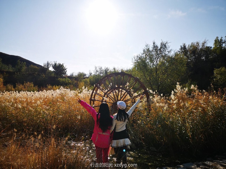 mmexport1572166600742