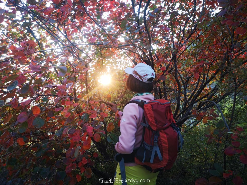 mmexport1572166481348