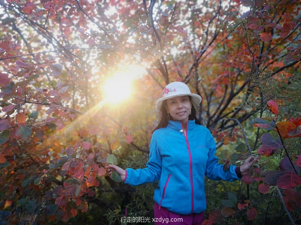 mmexport1572166465546