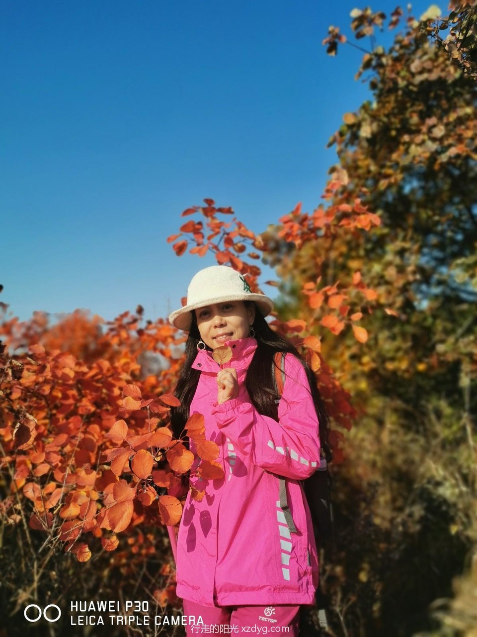 mmexport1572166043424