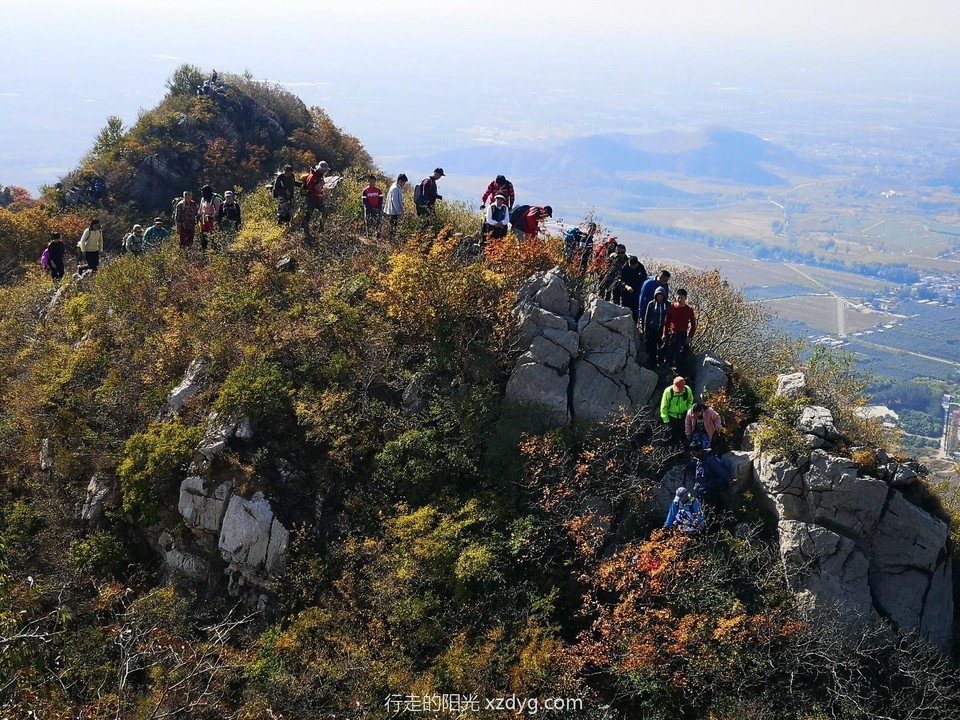 mmexport1572165971372