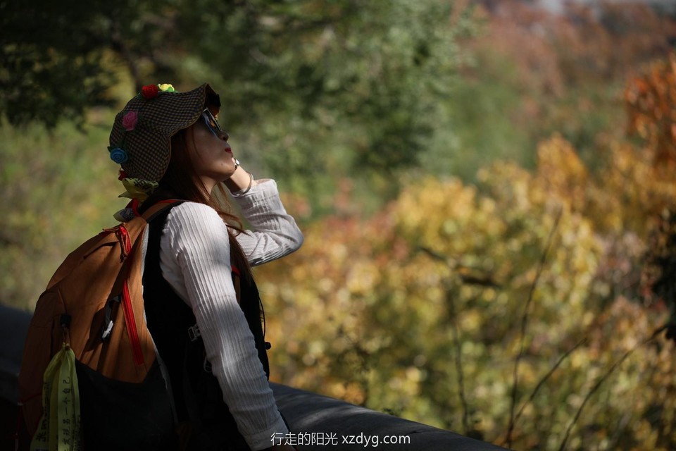 mmexport1572234836737