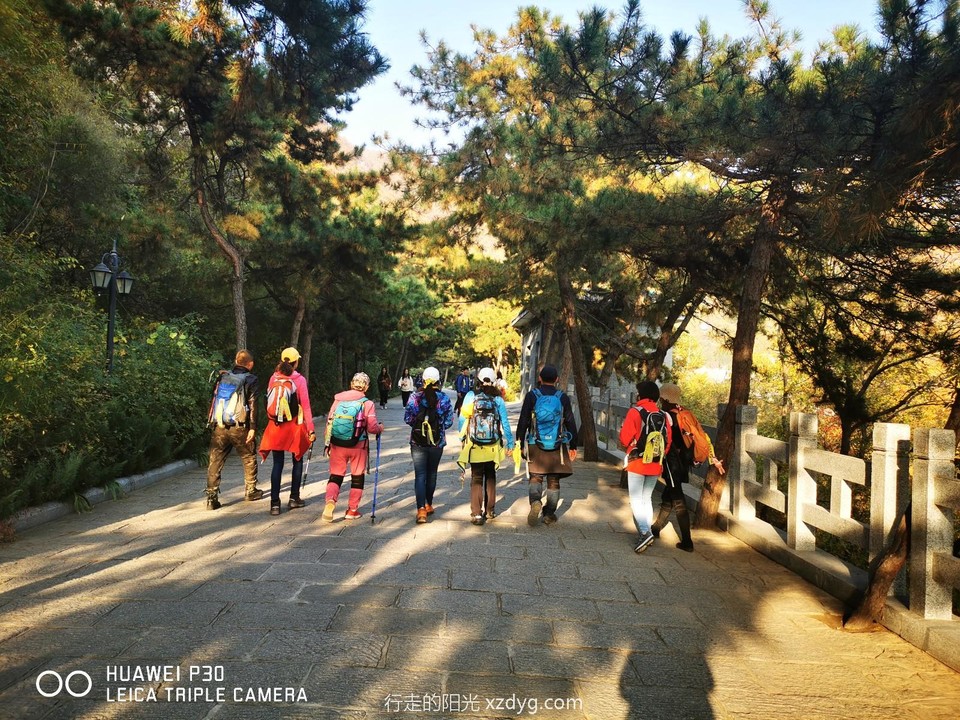 mmexport1572223923219