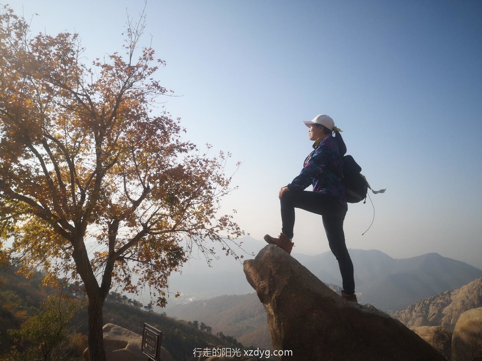 mmexport1572224294152