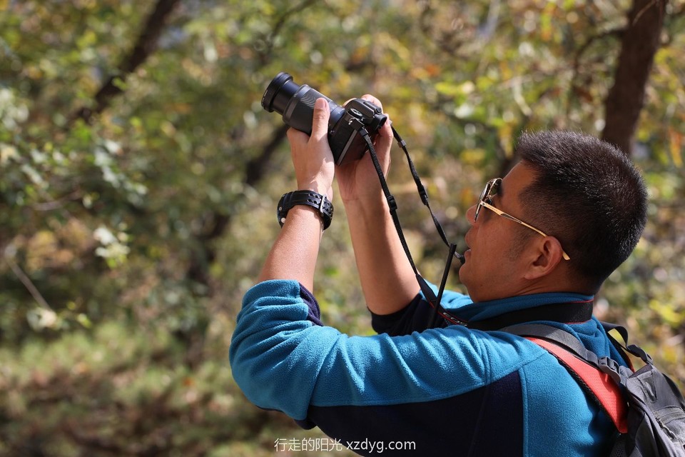 mmexport1572233172419