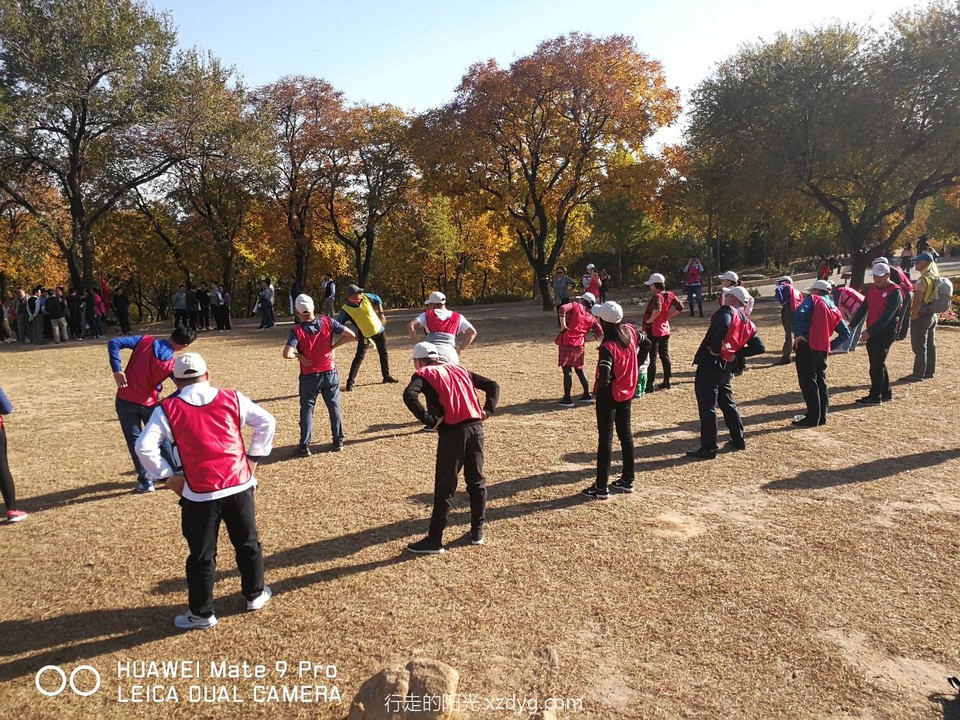 mmexport1572515049886