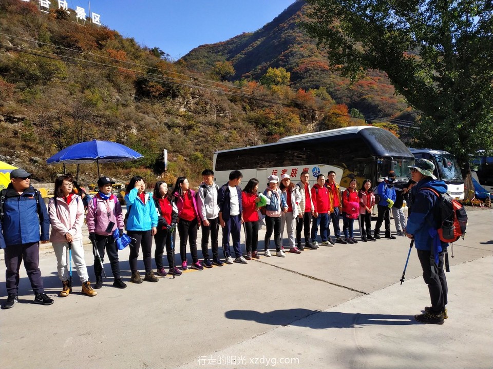 mmexport1572080900756