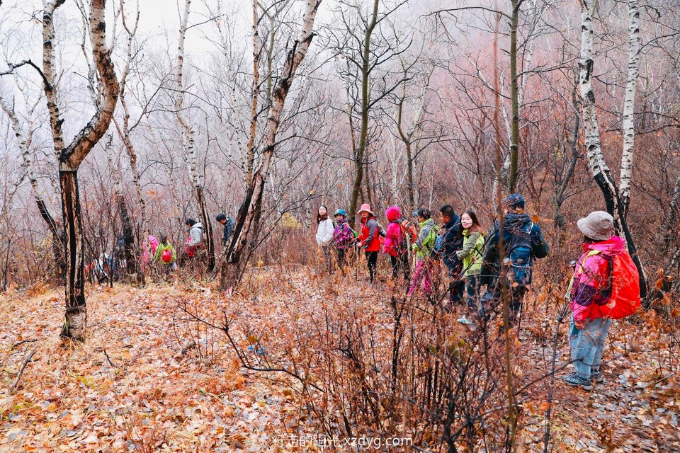 mmexport1572792108129