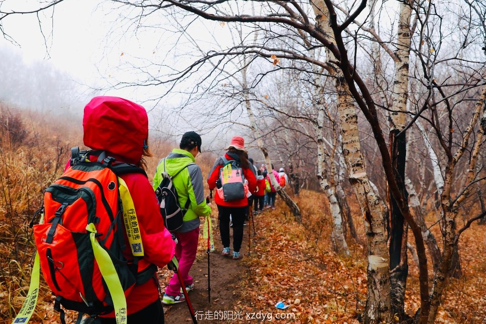 mmexport1572792041942