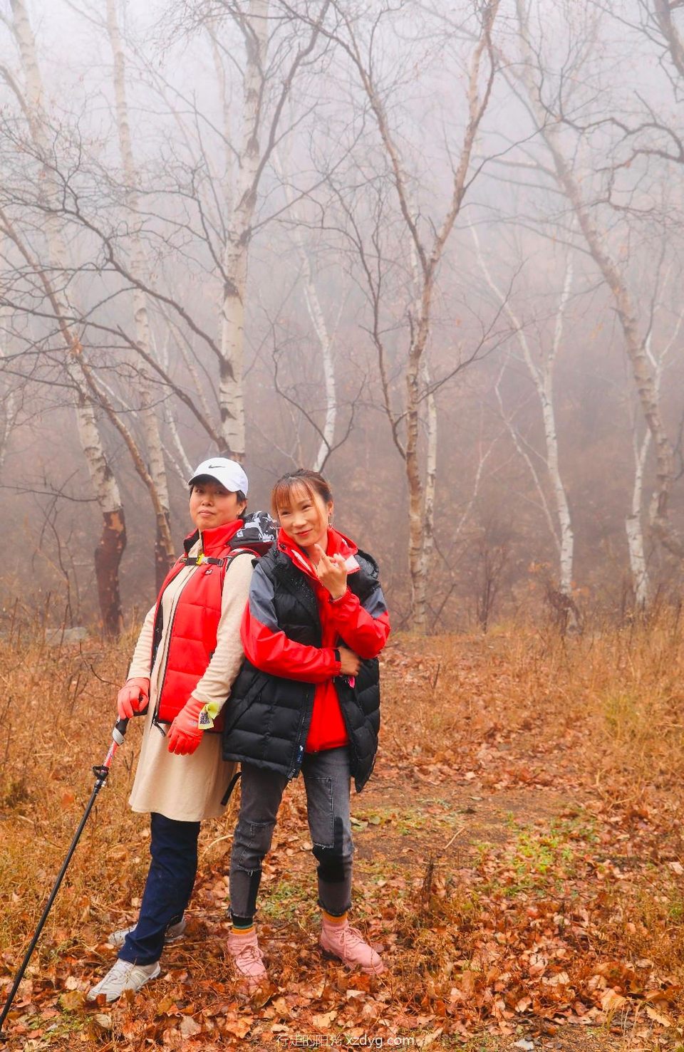 mmexport1572791690414