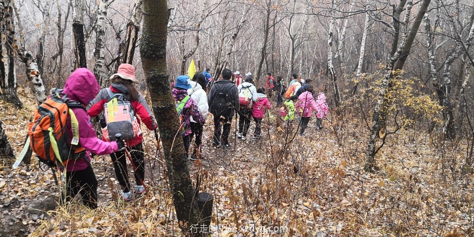 mmexport1572776619077