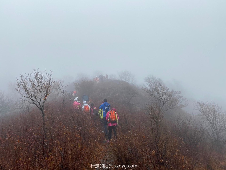 mmexport1572774629382