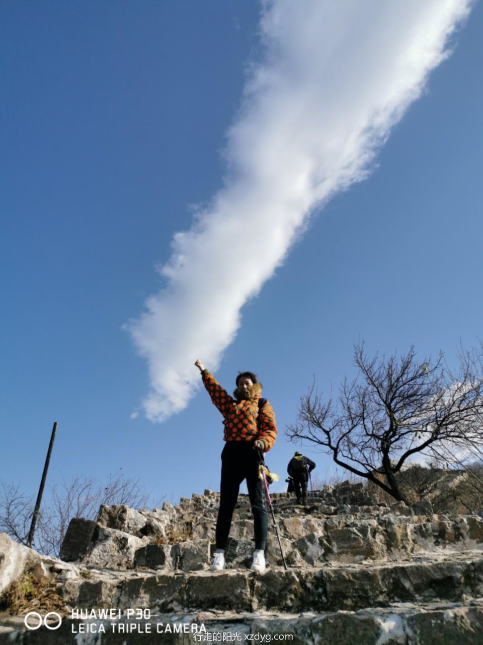 mmexport1573390851360