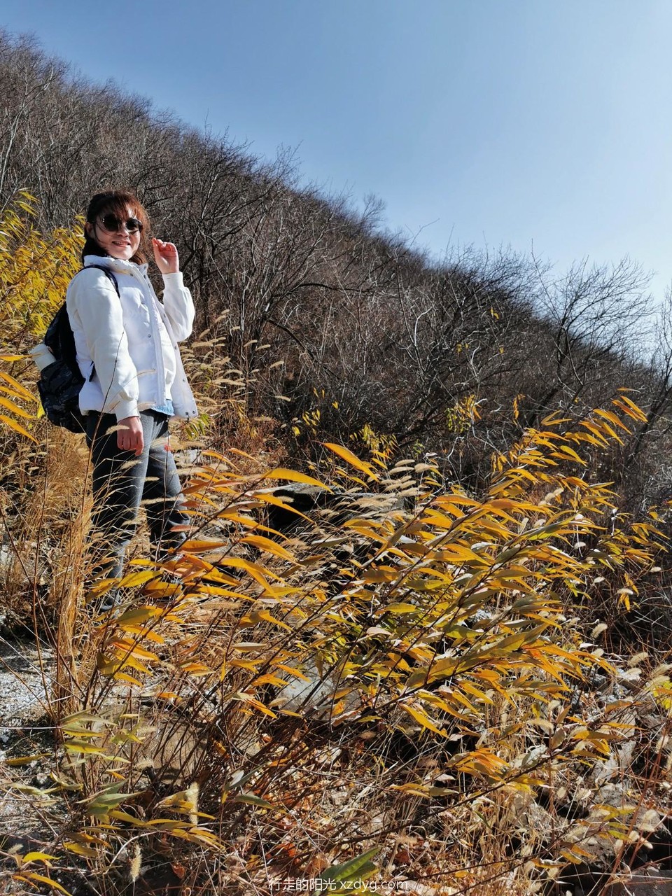 mmexport1573390796531