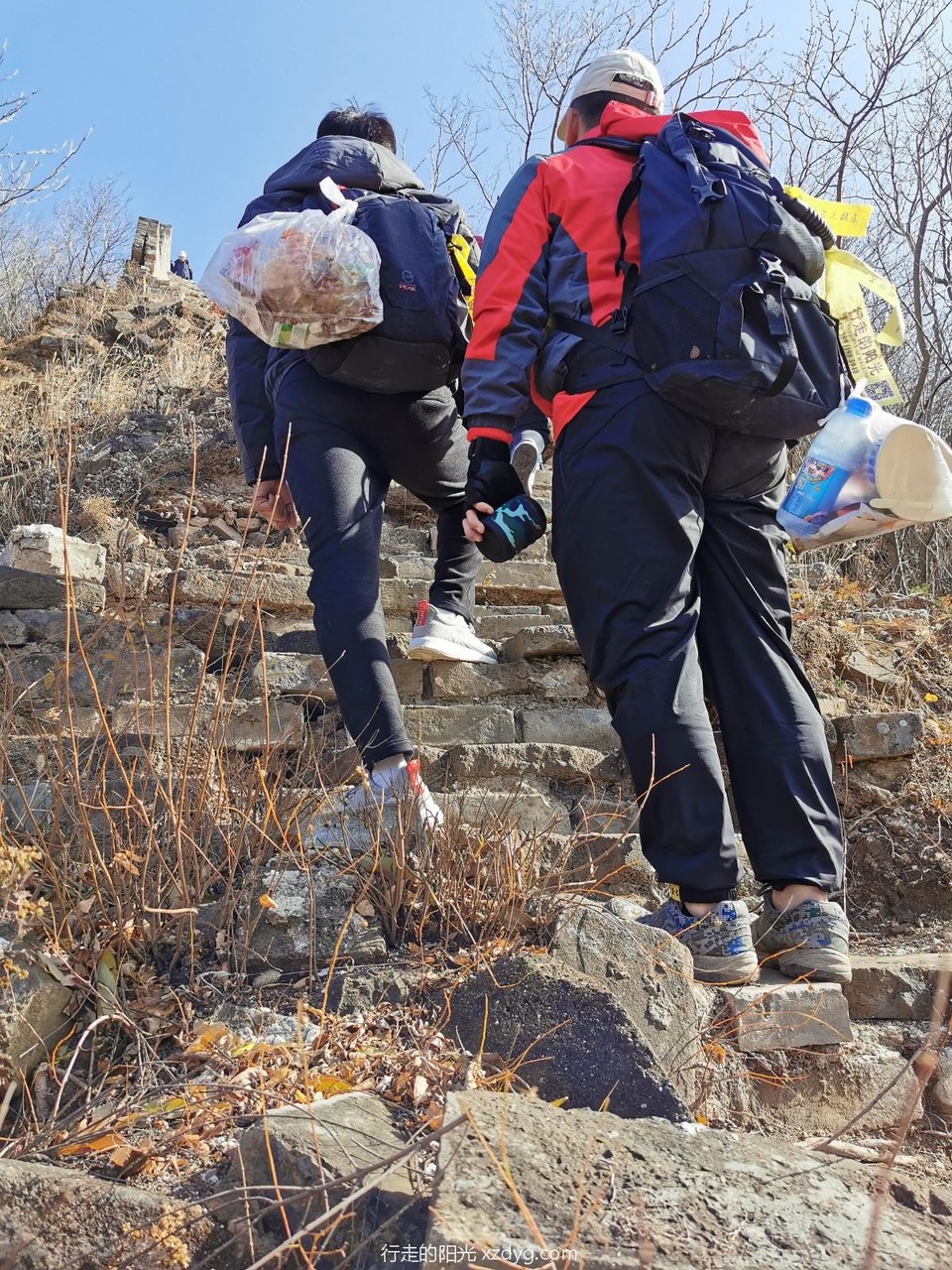 mmexport1573390778012