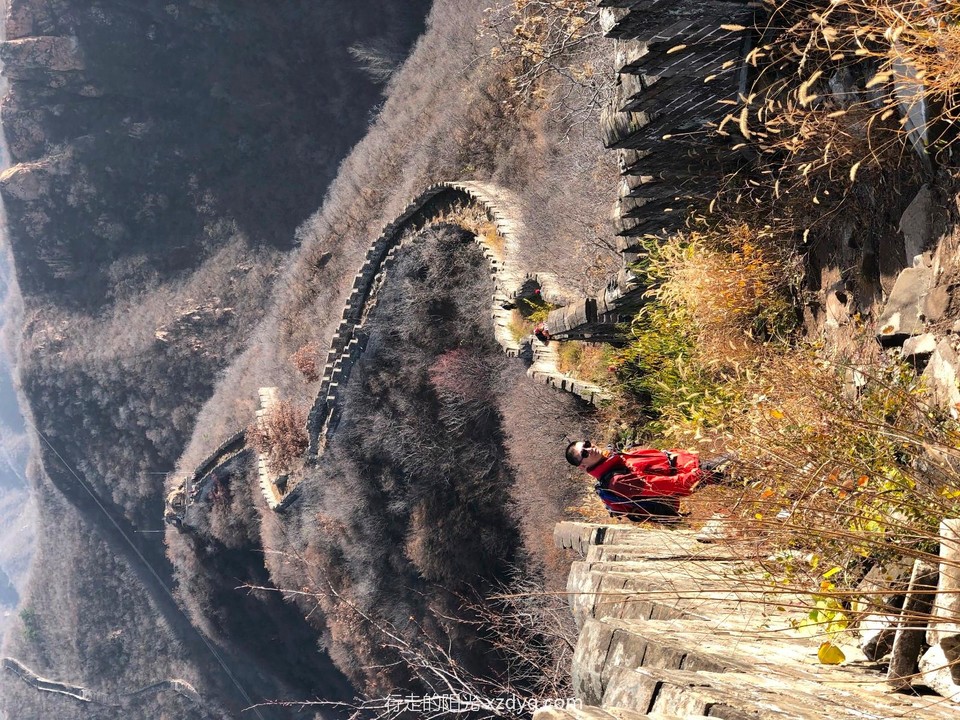 mmexport1573390146528