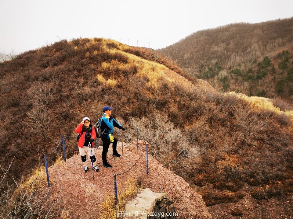 mmexport1574038867208