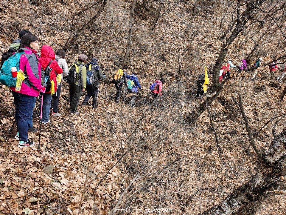 mmexport1574038192015