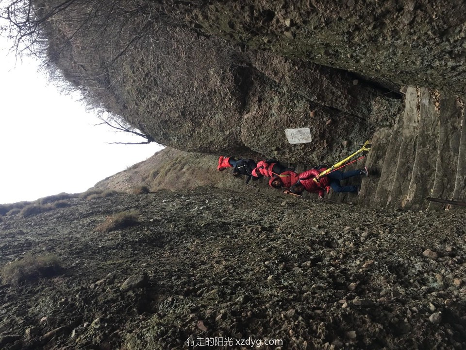 mmexport1574037900135