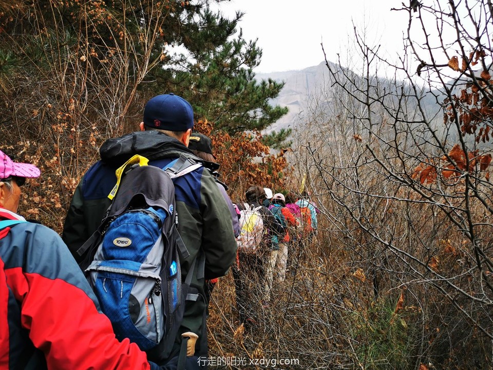 mmexport1574038802082